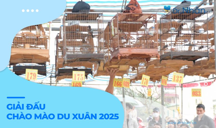 Giải đấu chào mào du xuân 2025