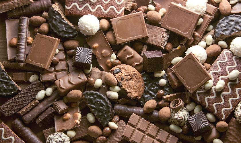 Chocolate là một thực phẩm khá nguy hiểm đối với chim chào mào