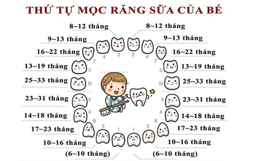 Thứ tự mọc răng sữa của trẻ